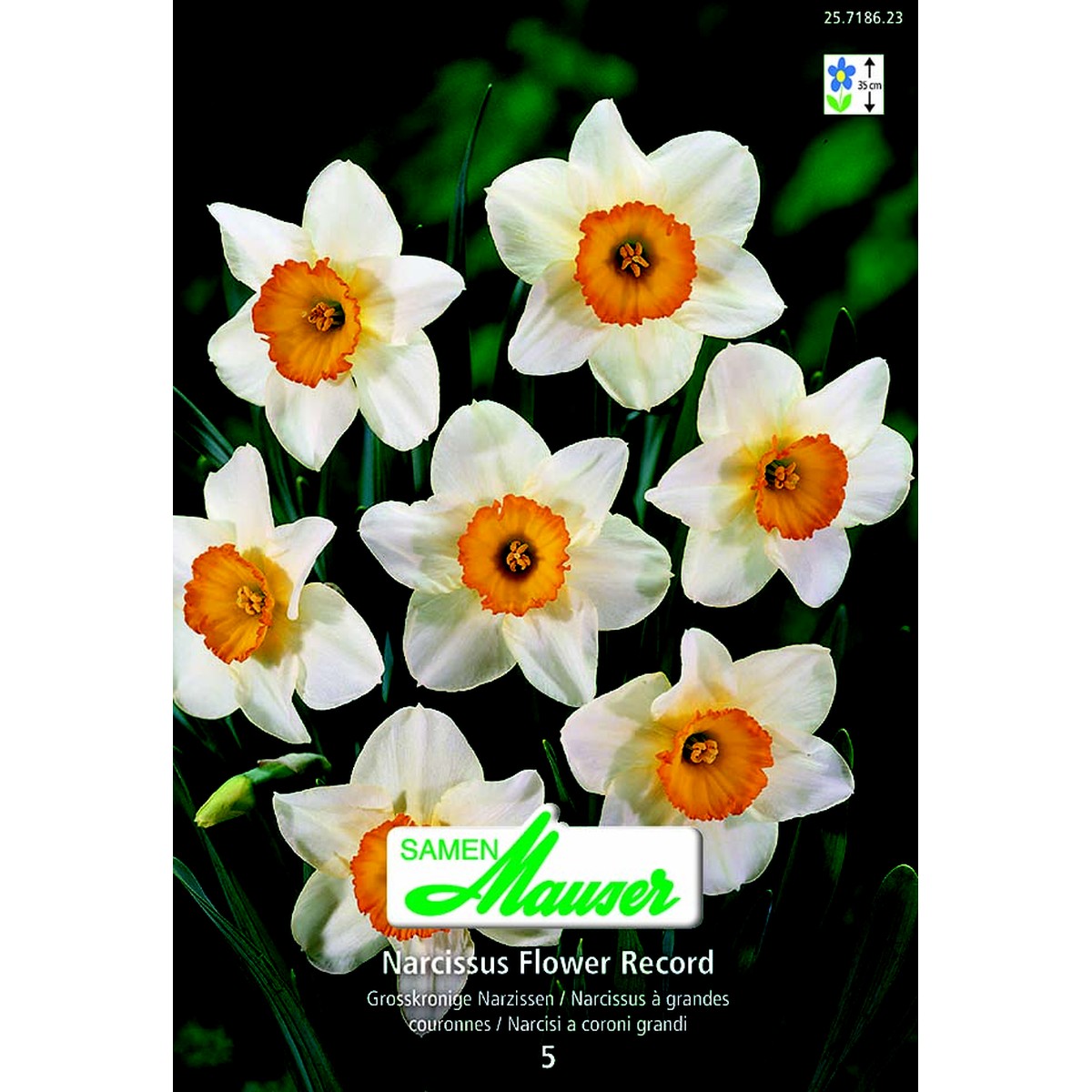   Narcisse GC Flower Record 5  14/