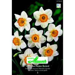   Narcisse GC Flower Record 5  14/