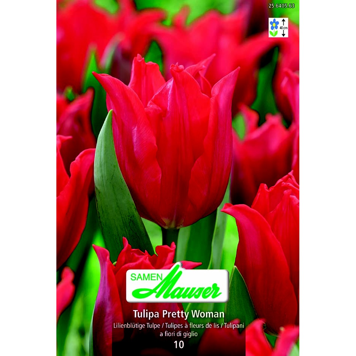  Tulipe TL Pretty Woman 10  12/