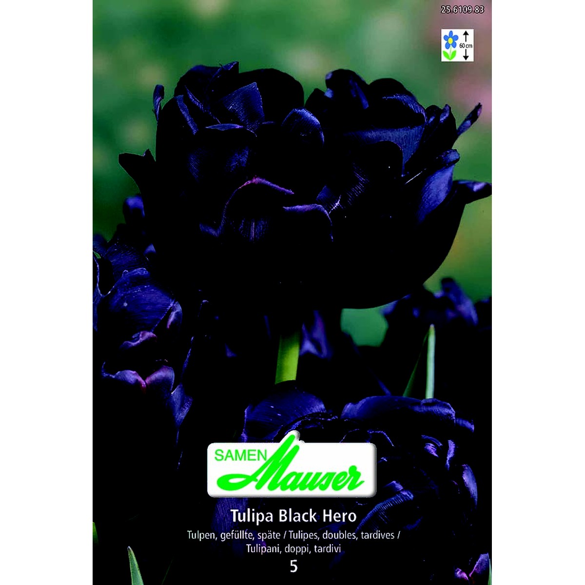   Tulipe TTD BlackHero 5  12/