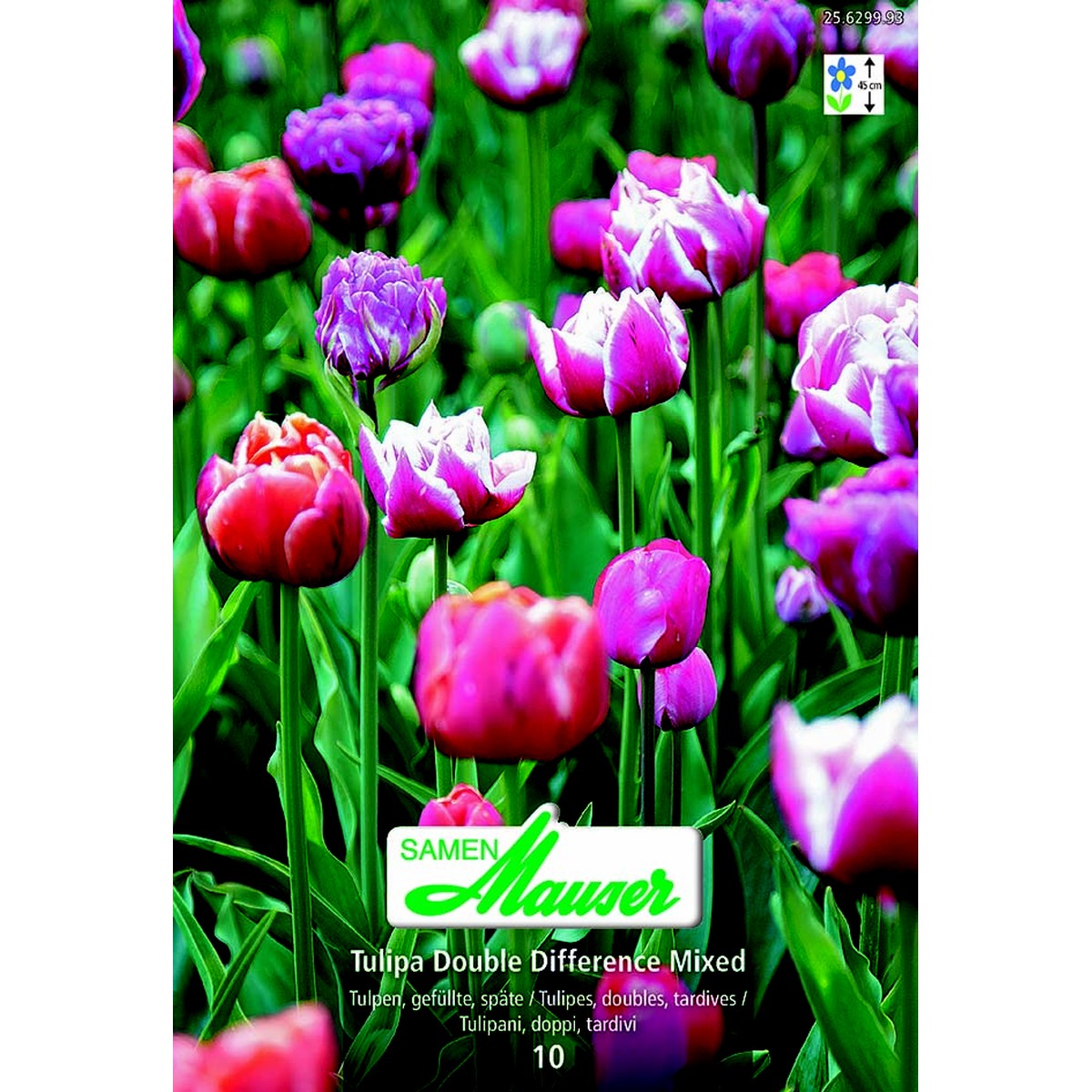   Tulipe TTD Double Difference Mixed 10  12/