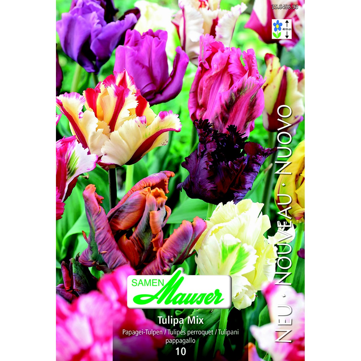   Tulipe TP Perroquet mélange  12/