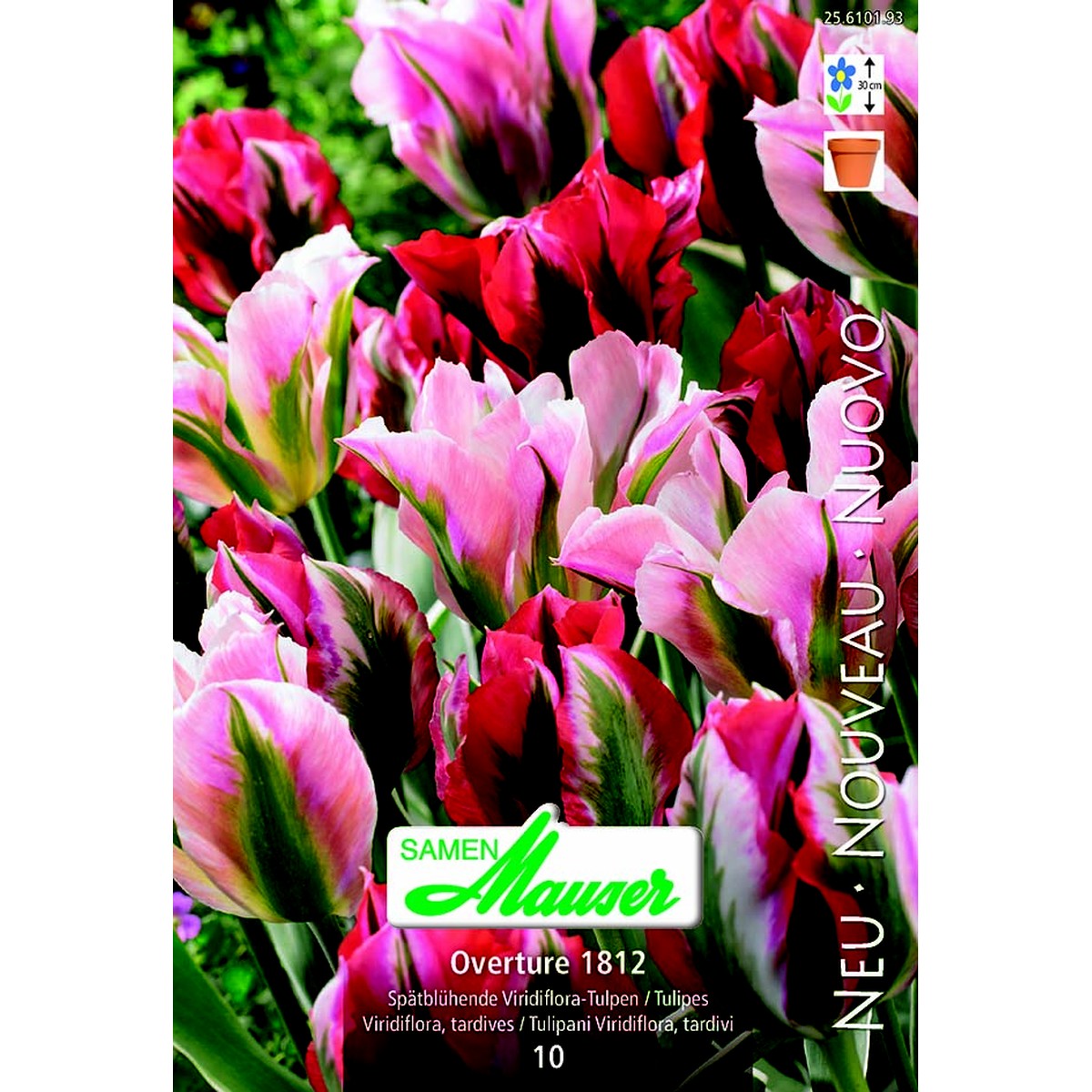   Tulipe Overture 10  12/