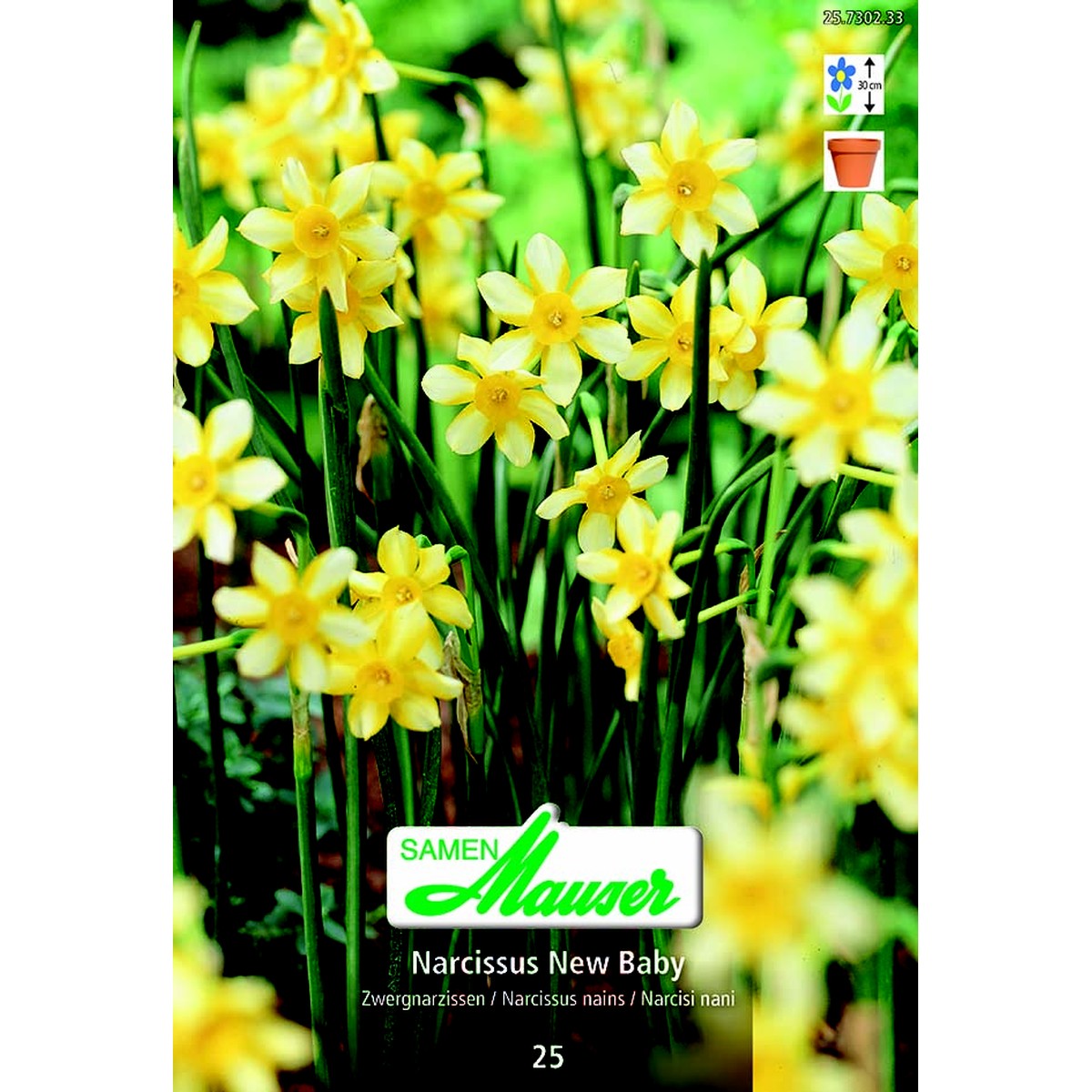   Narcisse- New Baby P 25  14/