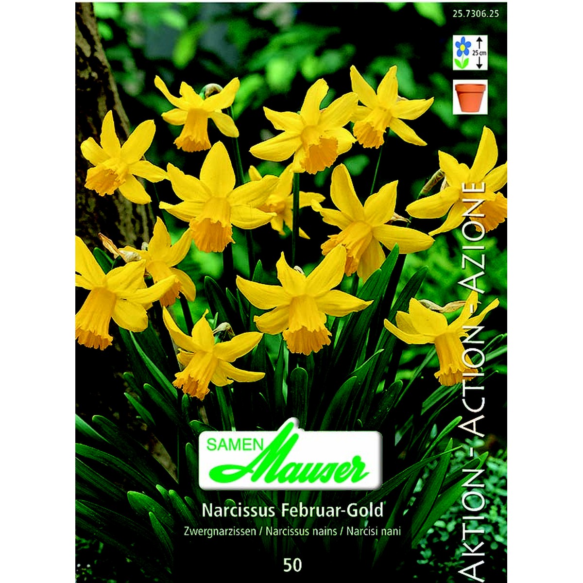   Narcisse Bot Februar Gold 50  14/