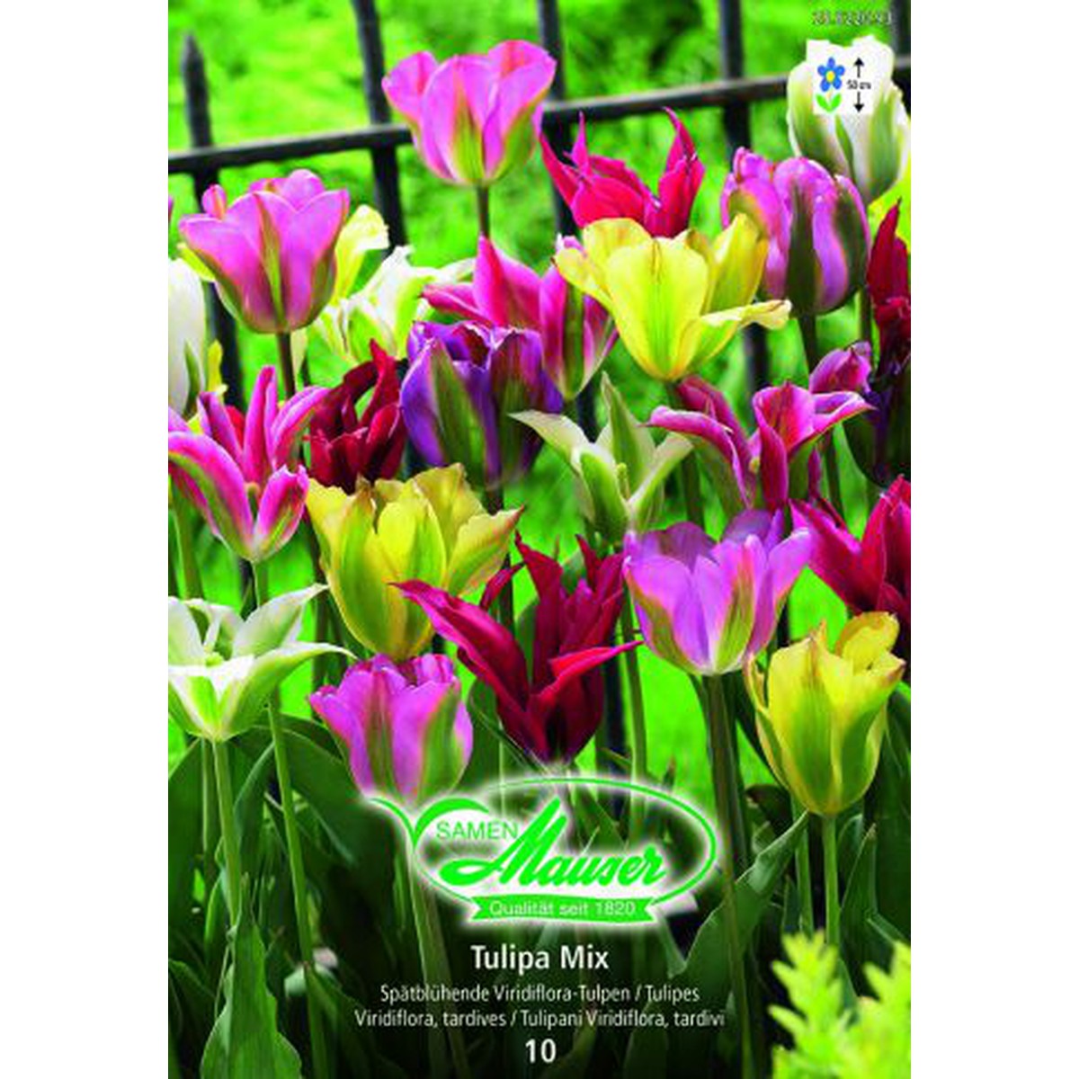  Tulipe VIR mélange 10  
