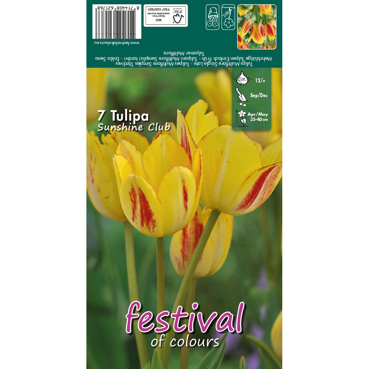   Tulipes Sunshine Club 12/+  