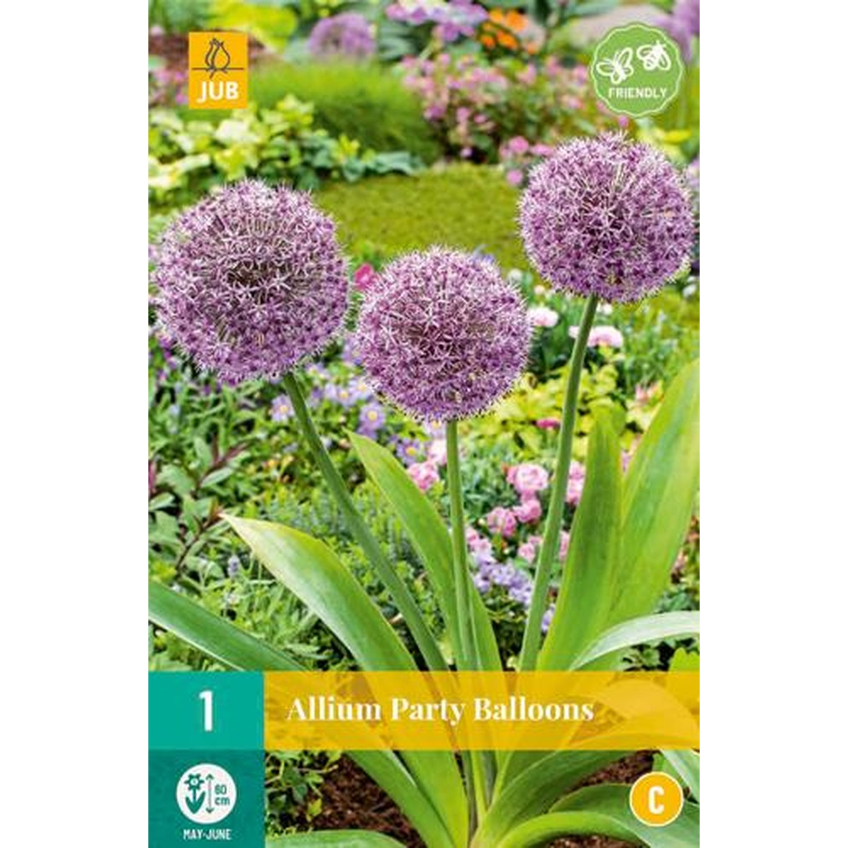   ALLIUM PARTY BALLOONS  16/18