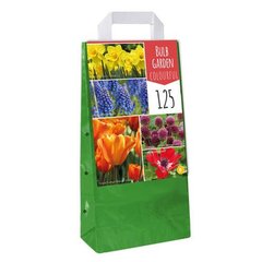   BULBE GARDEN COLOURFUL  