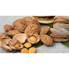 Production Suisse  Amandier 'Robijn'  C12