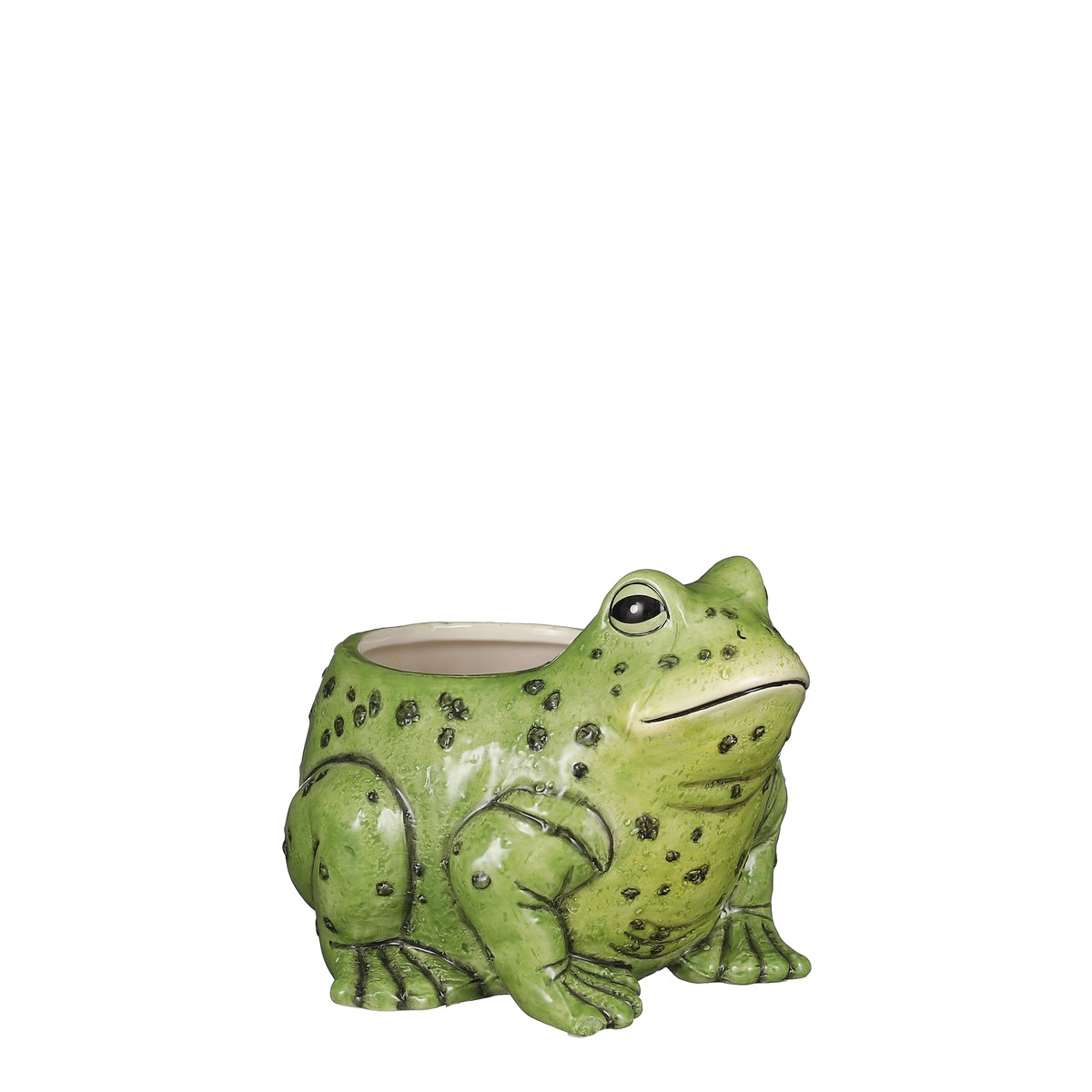   Cache-pot Grenouille Vert sapin 18x20x15cm