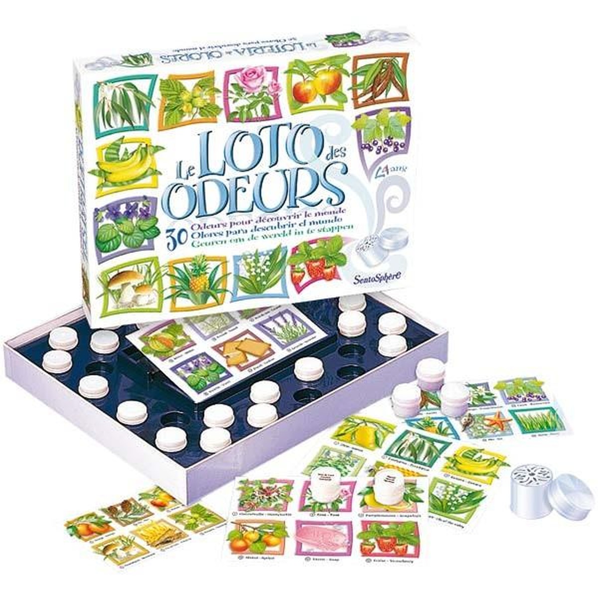 Sentosphère SENTOSPHERE Standard Familien-Spiele Jeu Loto Des Odeurs Sans couleur 34x4x28cm