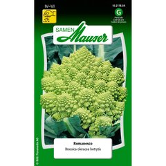   Chou-fleur Romanesco  