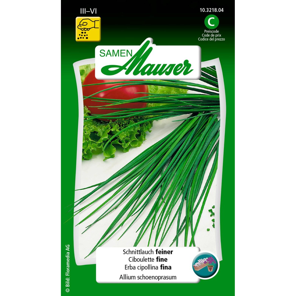   Ciboulette fine Sans couleur 