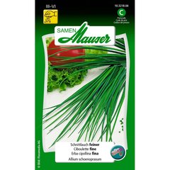   Ciboulette fine Sans couleur 