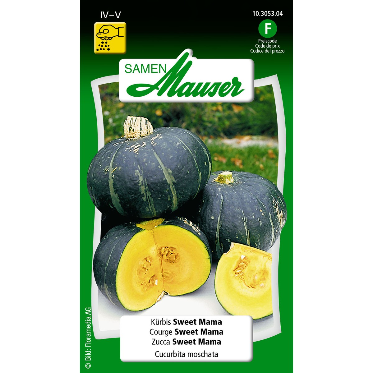   Courge Sweet Mama Sans couleur 