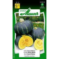   Courge Sweet Mama Sans couleur 