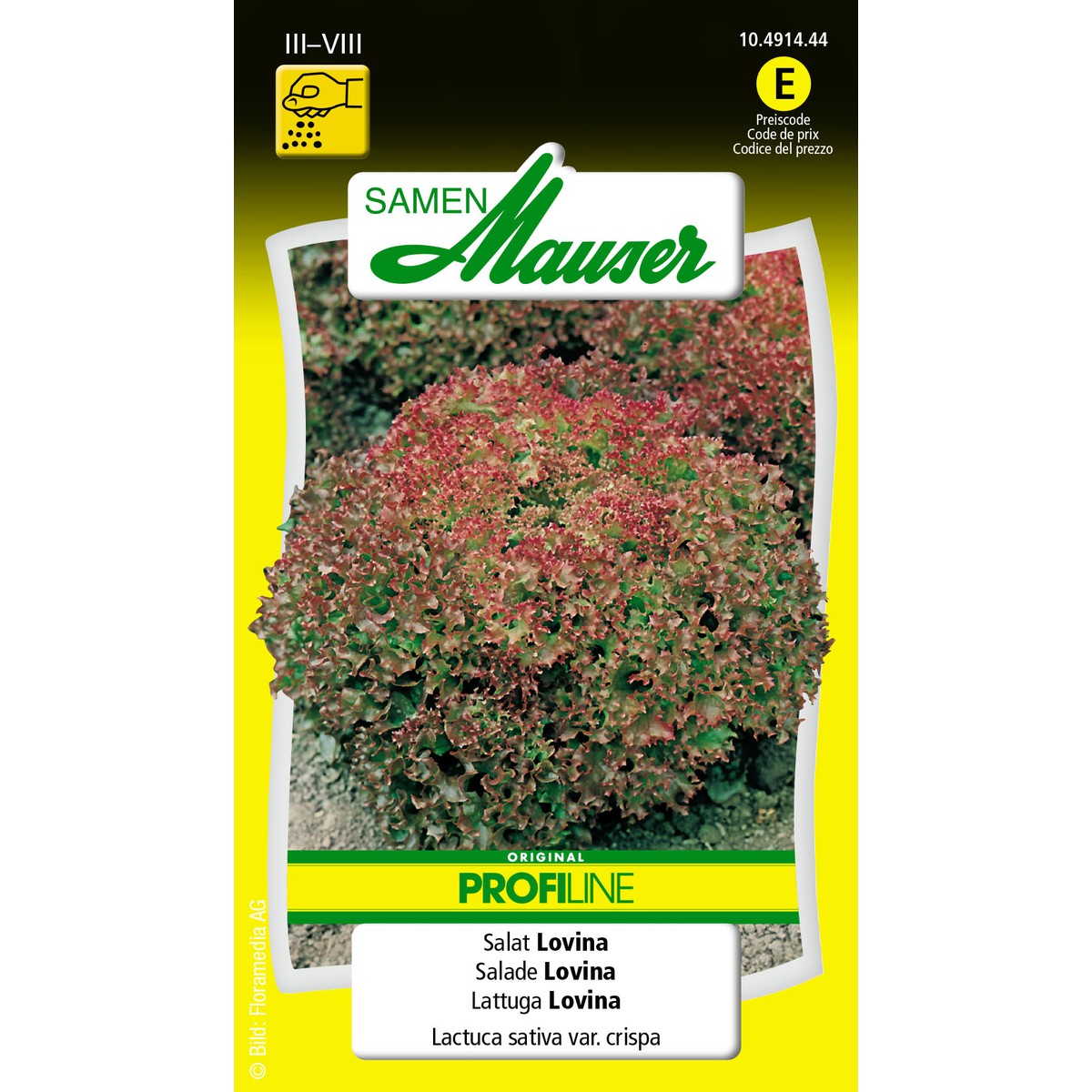   Lollo rossa Selma-Lovina  