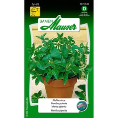   Menthe poivrée  