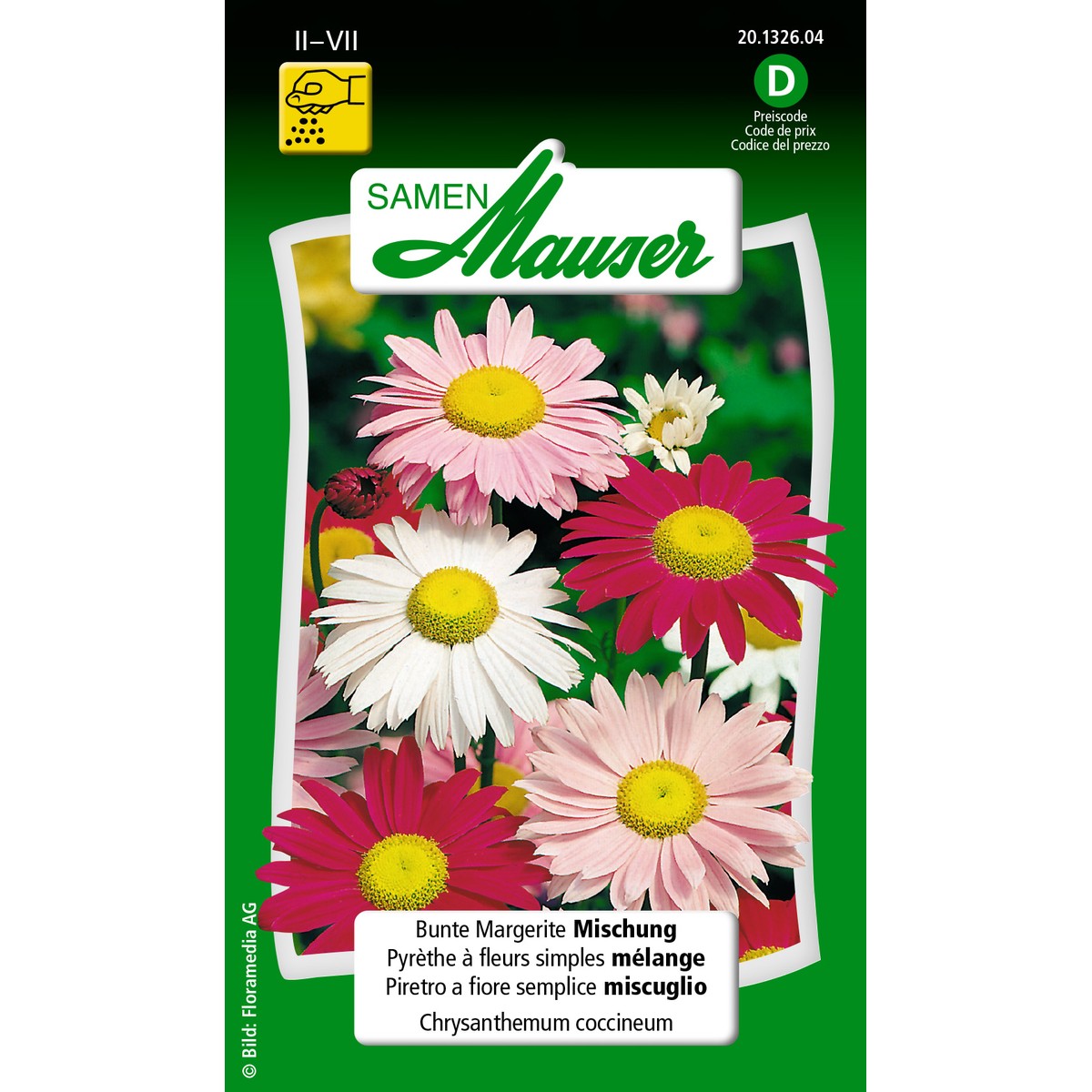   Pyrèthe à fleurs simples mélange Sans couleur 