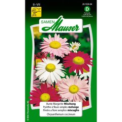   Pyrèthe à fleurs simples mélange Sans couleur 