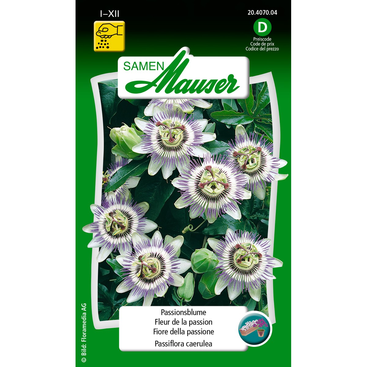 Passiflora Mollissima / Passiflore Curuba - Lot De 200 Graines - Fleur-des-Tropiques