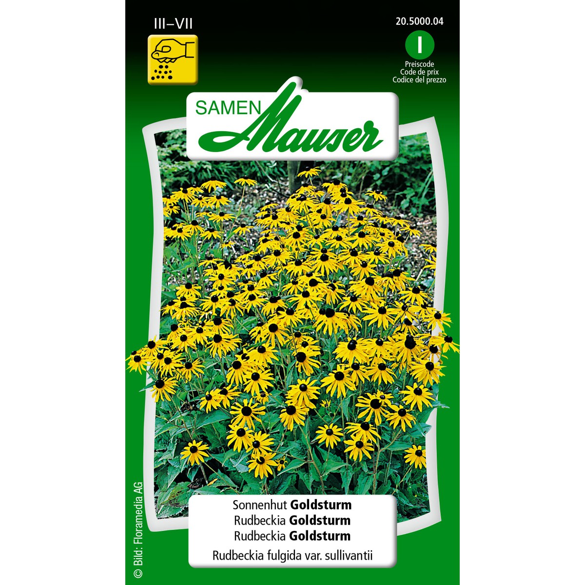   Rudbeckia fulgida goldsturm  