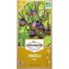 Ferme de Sainte Marthe  Tomatillo Violet  Environ 50 Graines