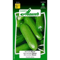   Mini-concombre rimoni  