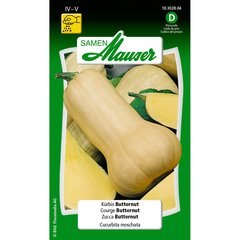   Courge butternut  