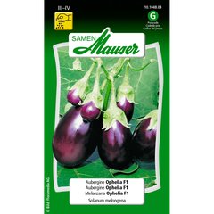   Aubergine ophelia F1  