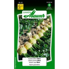   Célerie rave Mars  