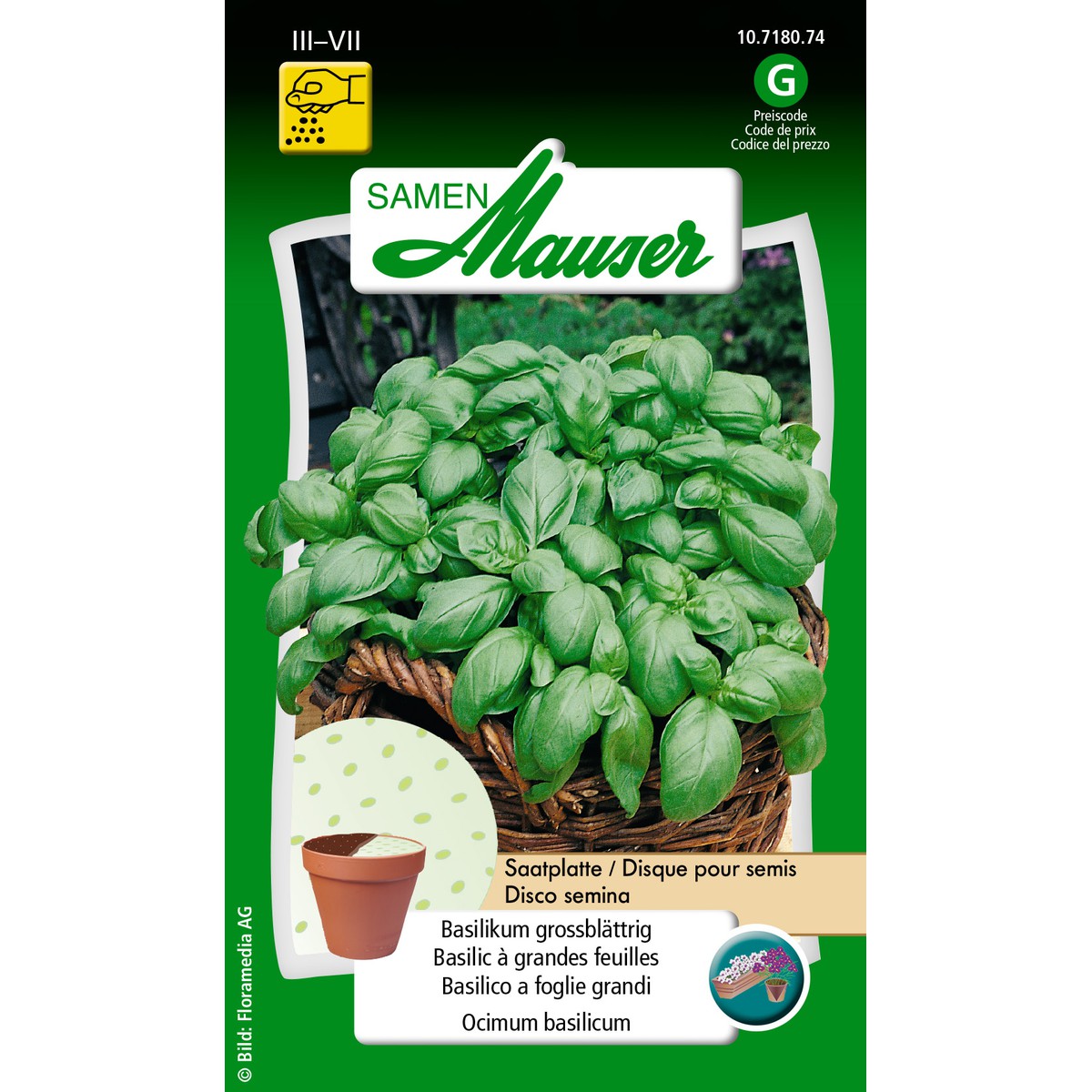   Disque pour semis Basilic à grandes feuilles  