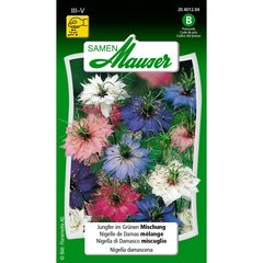   Nigelle damas melange  