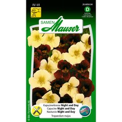   Capucine  nigh and DAY  