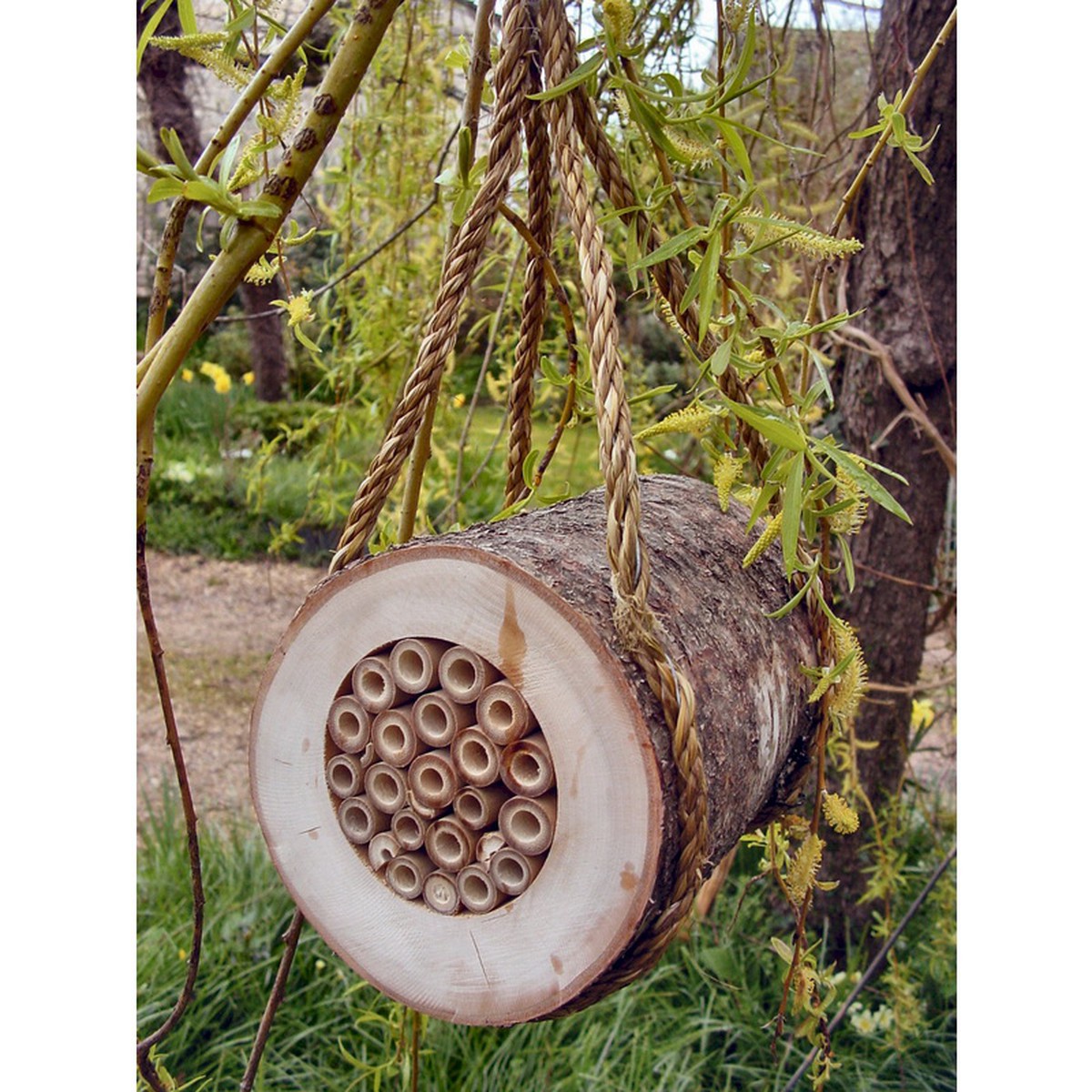   Rondin pour abeilles  Ø max :20cm