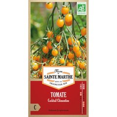 Ferme de Sainte Marthe  Tomate Cocktail Clementine  Environ 50 Graines