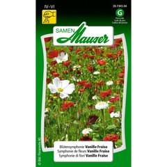   Symphonie de fleurs Vanille Fraise  