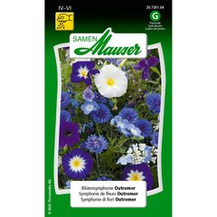   Symphonie de fleurs Outremer  