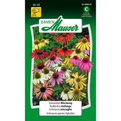   Rudbeckia mélange  