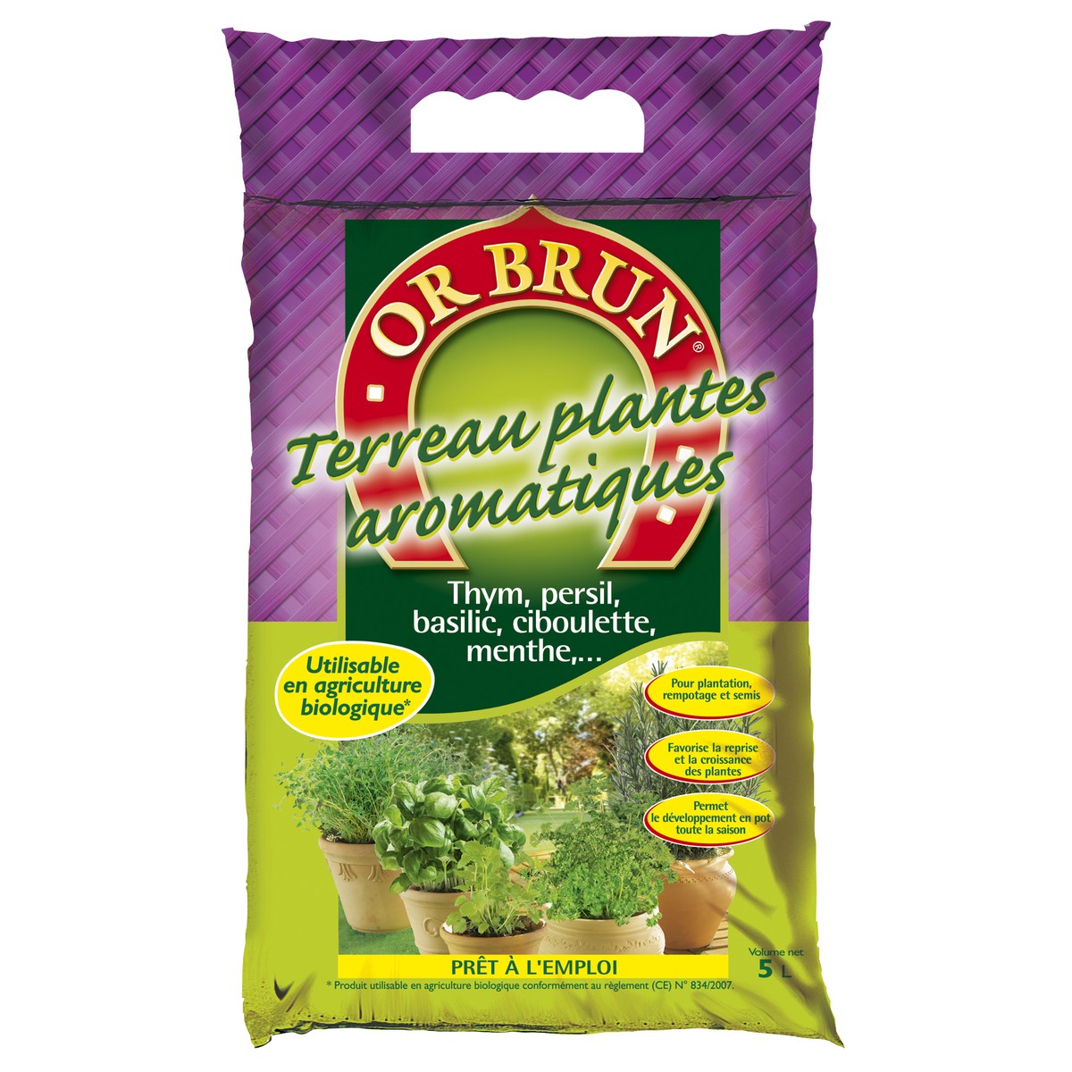 TERREAU PLANTE VERTE ET FLEURES D’INTÉRIEUR ALGIFLORE SAC DE 6 L