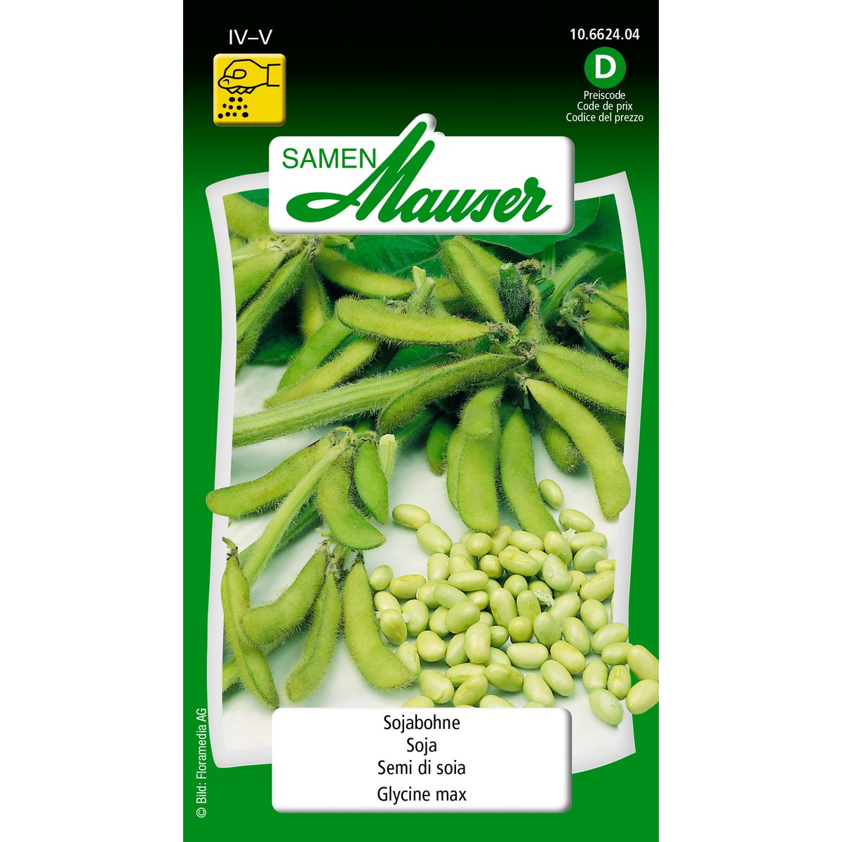  Soja glycine max Sans couleur 