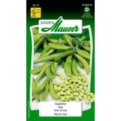   Soja glycine max Sans couleur 
