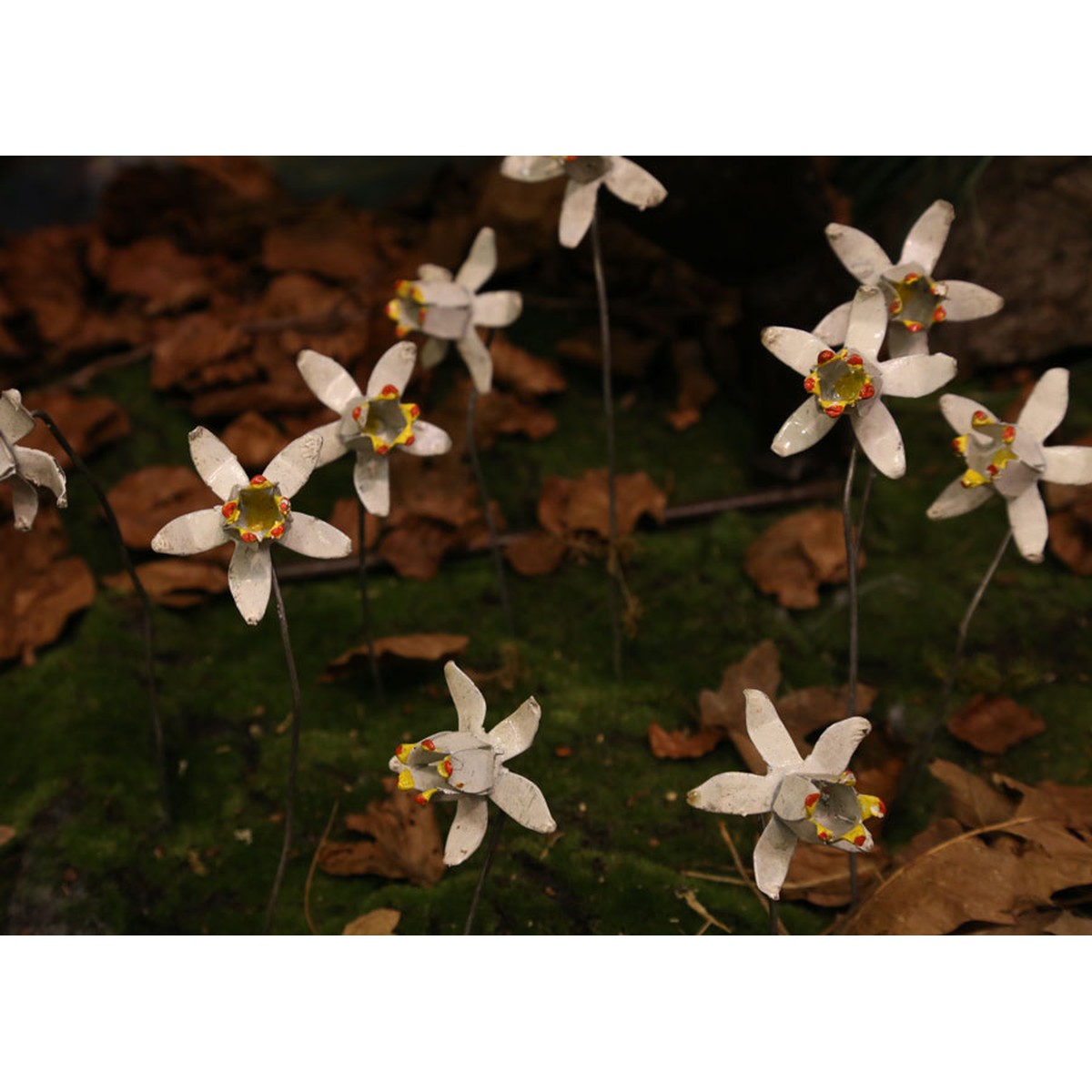 Schilliger Sélection  Tuteur Narcisse  Ø 5x25cm