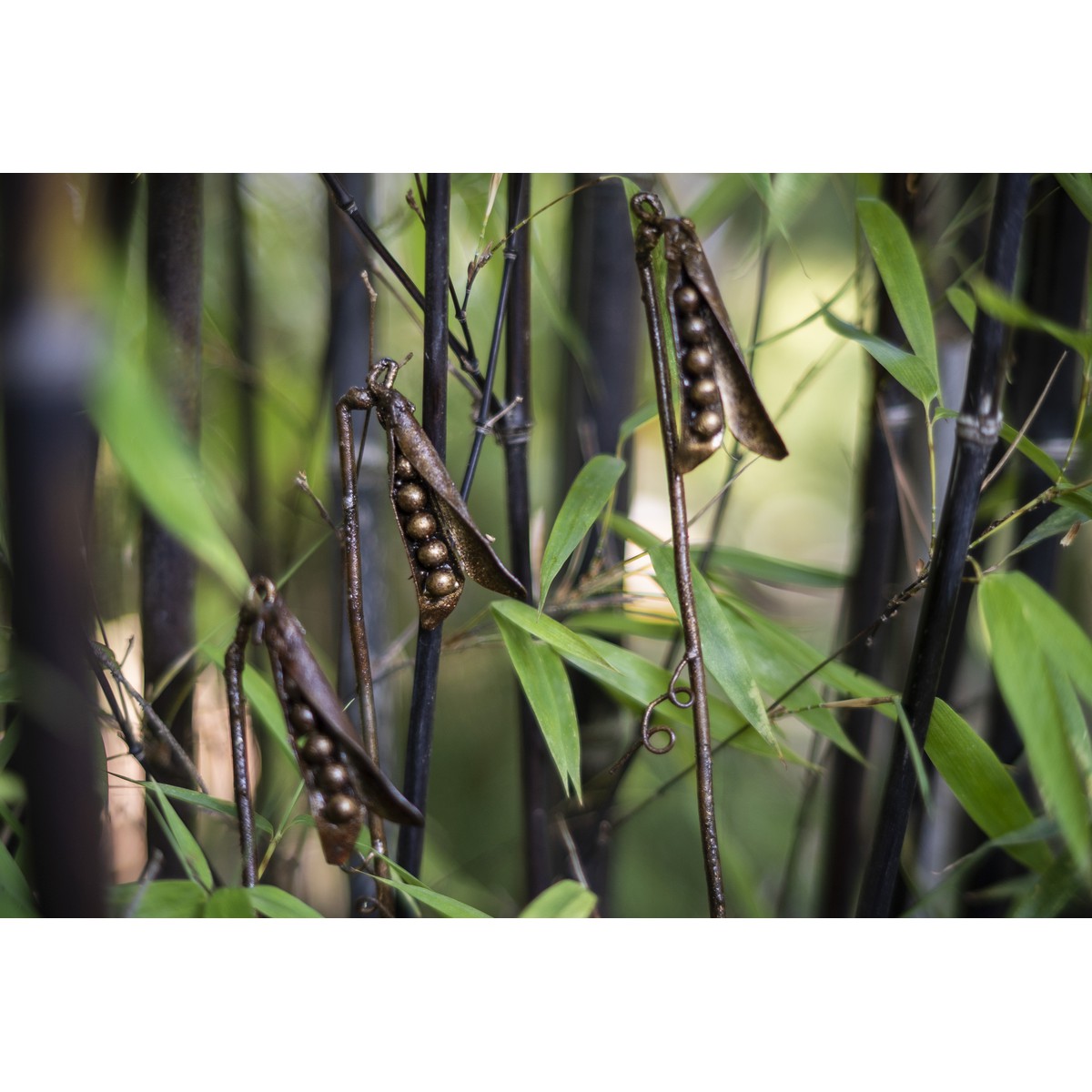 Tuteurs, Tuteur petit pois 110cm Schilliger — free download
