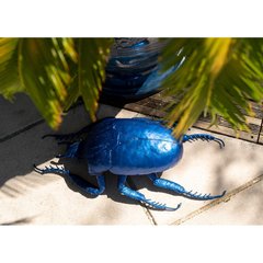 Schilliger Sélection  Scarabee Royal  55x27x17cm