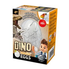 Buki France  Oeufs Magiques Dinos  