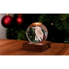   Lumière Cristal Ambre Martin Pécheur Sans couleur 8x8x12cm