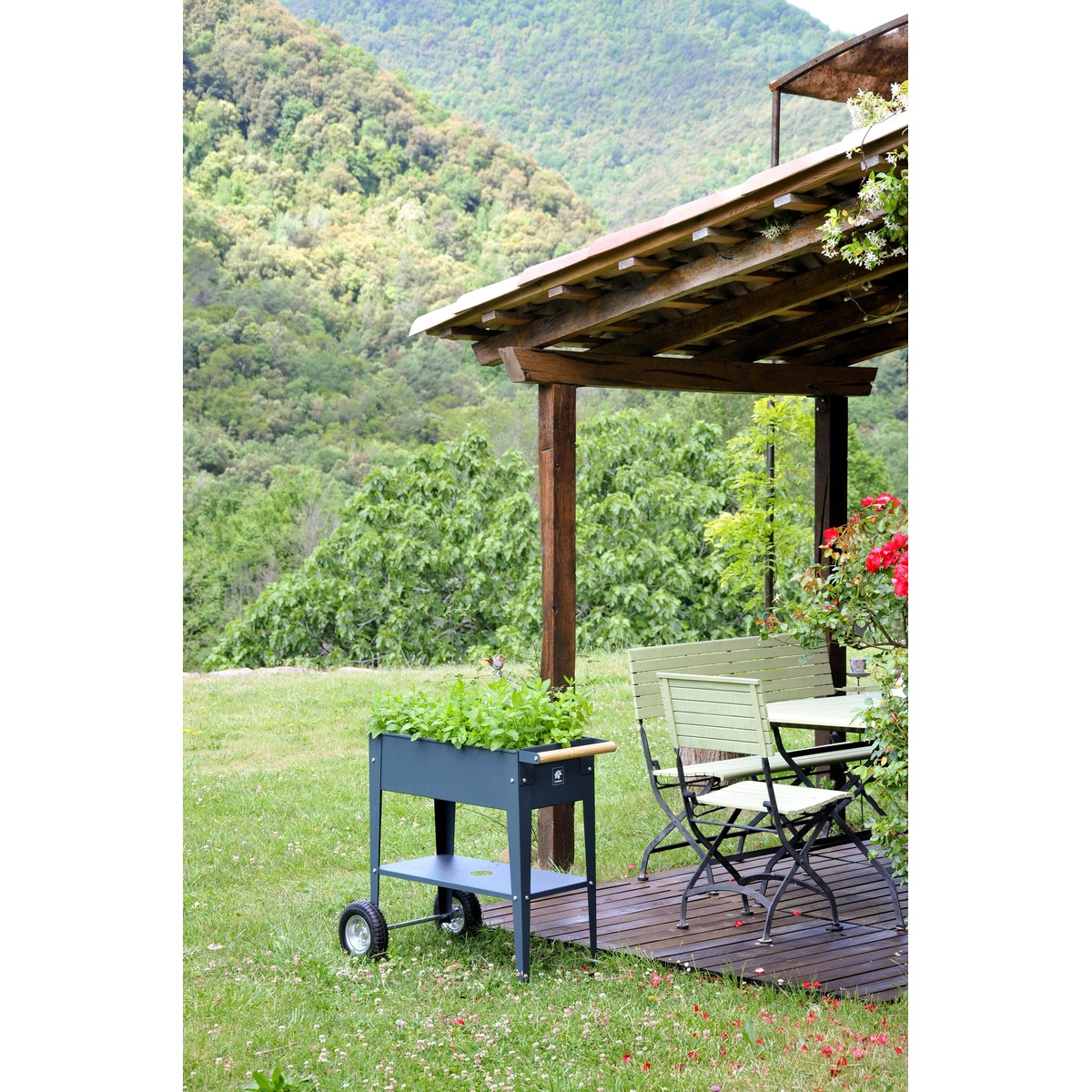 Schilliger Sélection  Carré potager surélevé sur roues Garden Trolley Anthracite Gris anthracite 70x35x80 cm