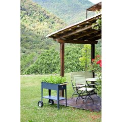 Schilliger Sélection  Carré potager surélevé sur roues Garden Trolley Anthracite Gris anthracite 70x35x80 cm